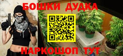 гашик Бийск