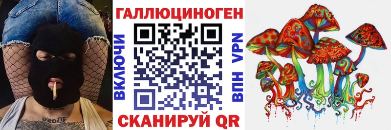 как найти наркотики  Лесосибирск  Псилоцибиновые грибы мицелий 