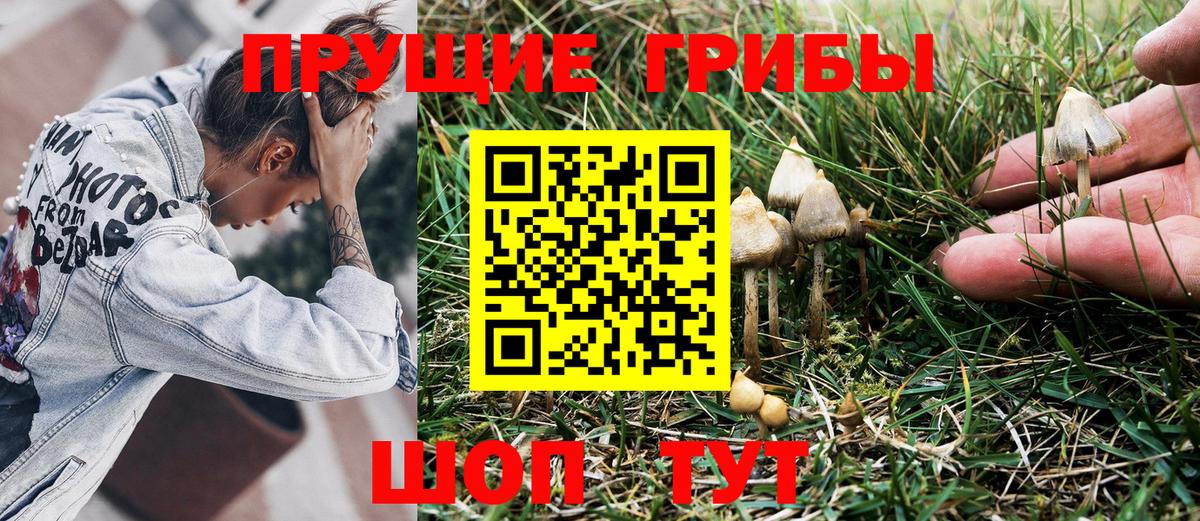 Лесосибирск  Галлюциногенные грибы GOLDEN TEACHER  Вход с VPN 
