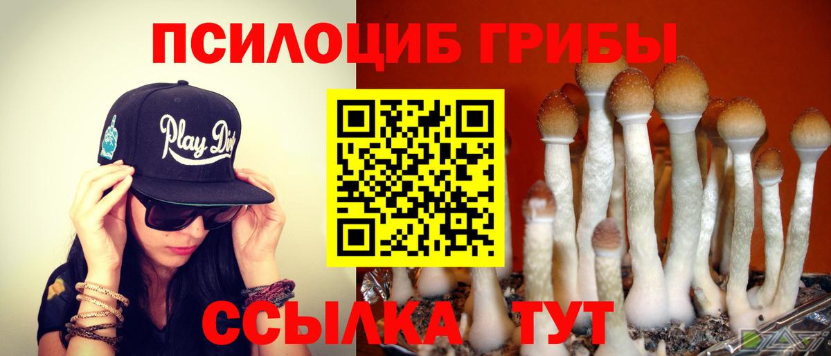 COCAIN Лесосибирск