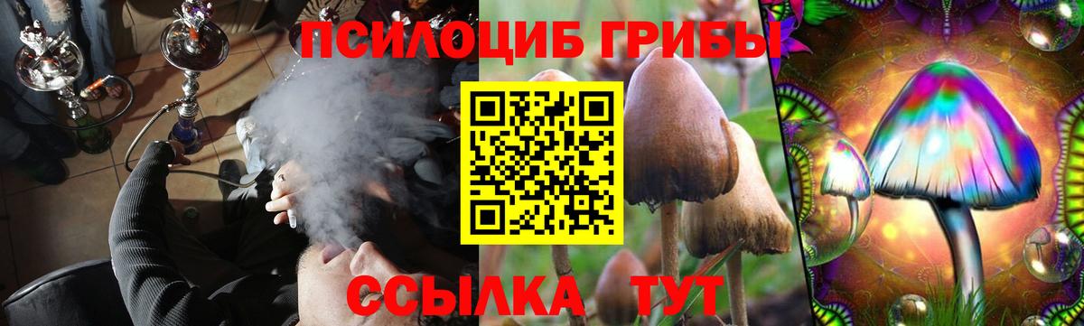 Галлюциногенные грибы прущие грибы Лесосибирск
